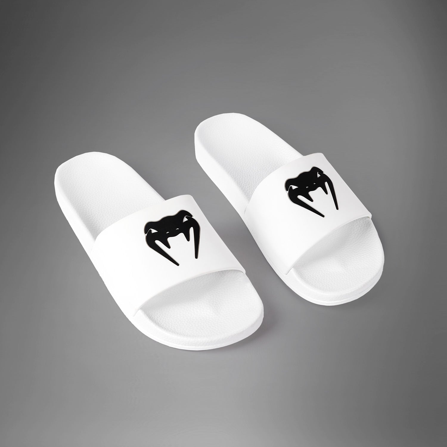 Slides