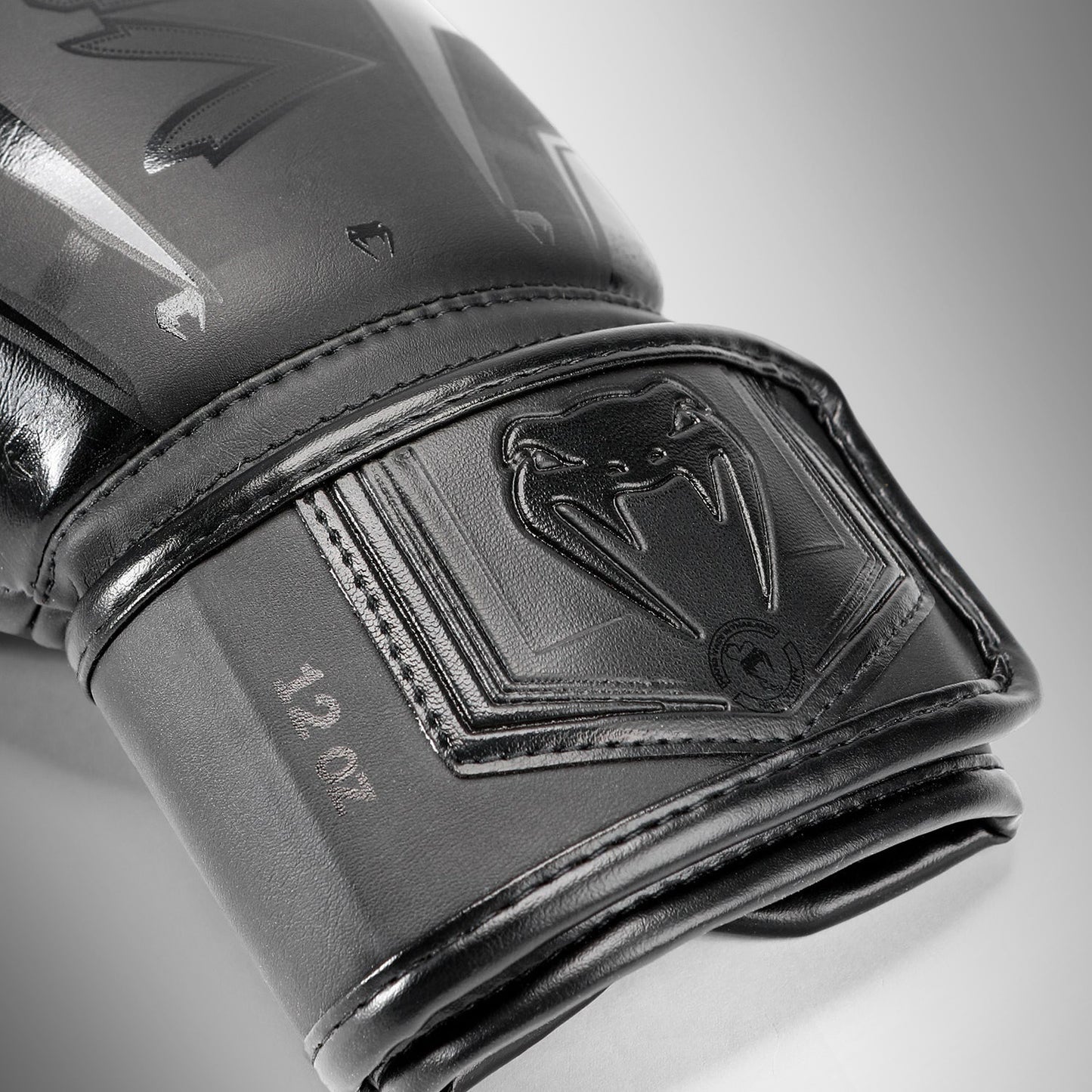Boxing Gloves Elite Evo Venum - Black/Black