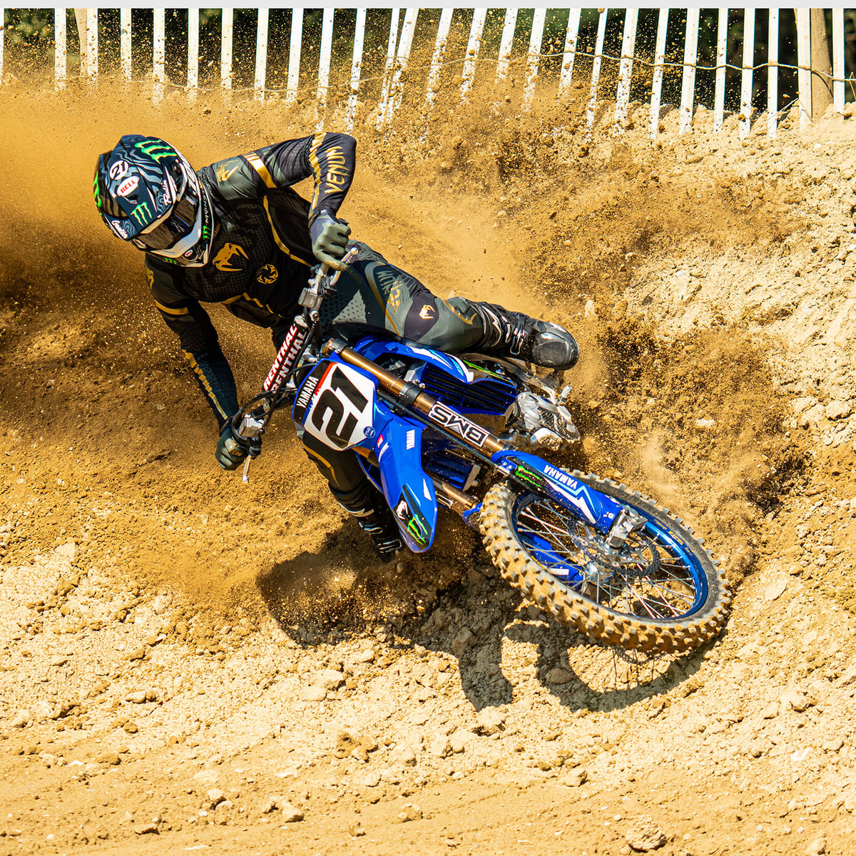 Venum MX Challenger Pants - Black/Green/Gold