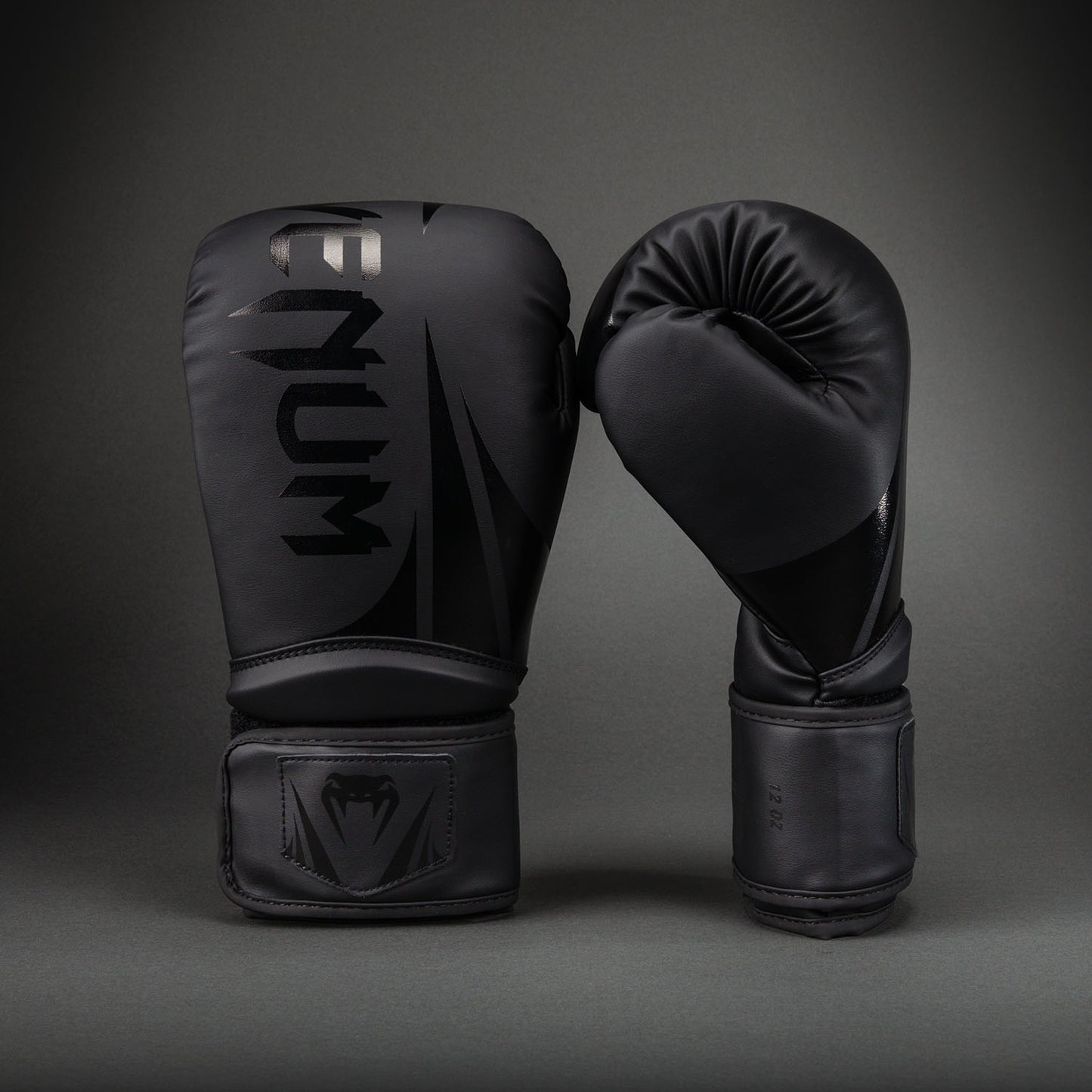Venum Challenger 2.5 Boxing Gloves – Black/Black