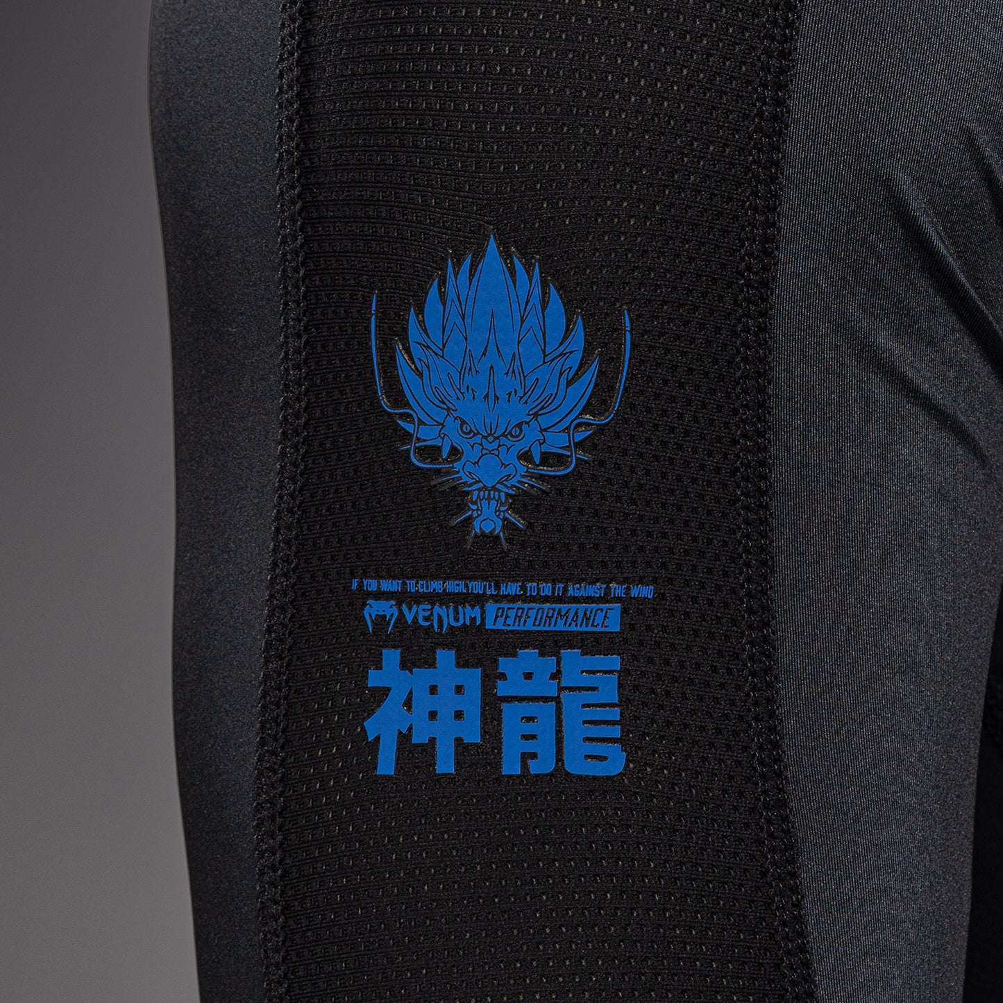 Venum Thunder Dragon Long Sleeve Rashguard - Black/Royal Blue