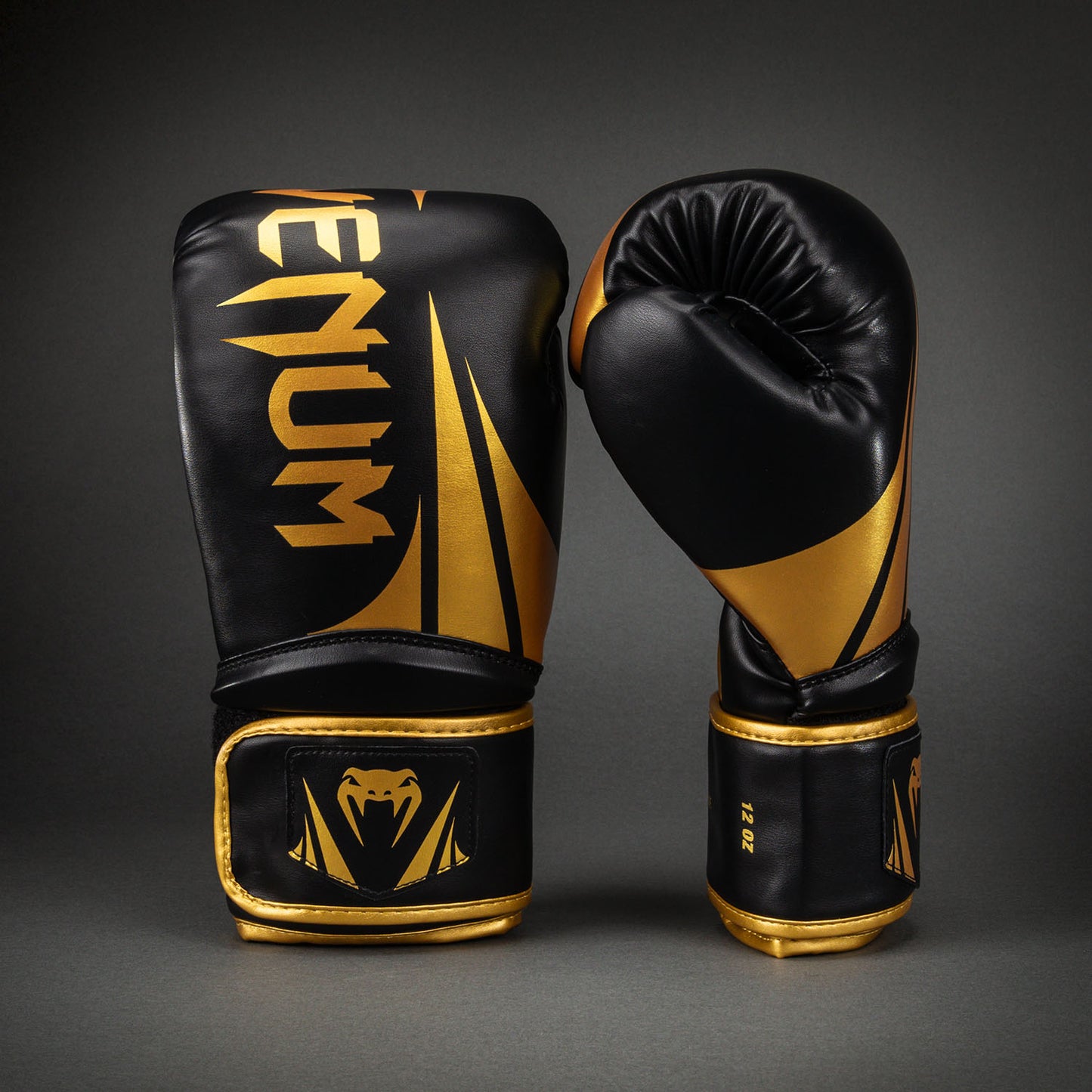 Venum Challenger 2.5 Boxing Gloves – Black/Gold