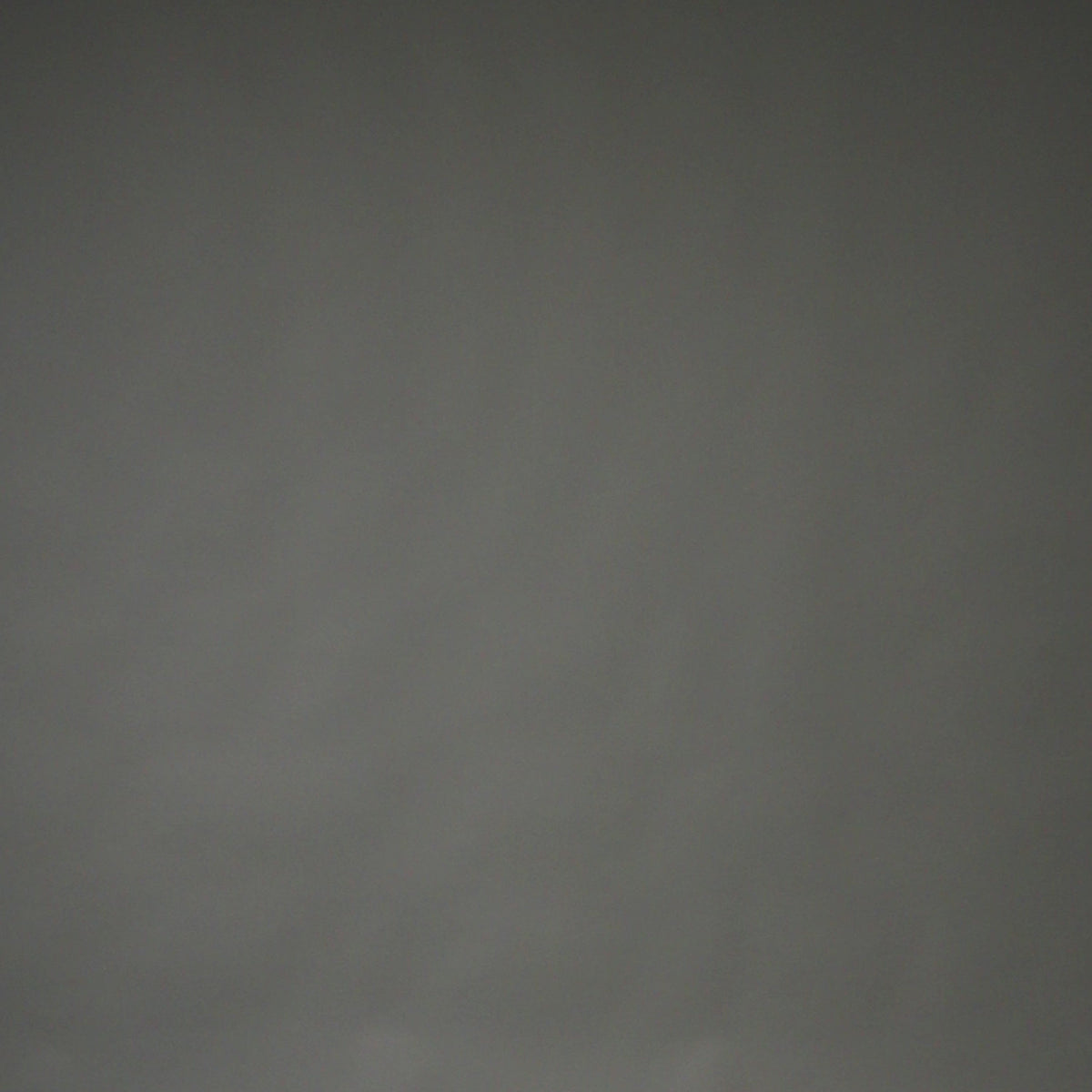 VENUM-06466-710
